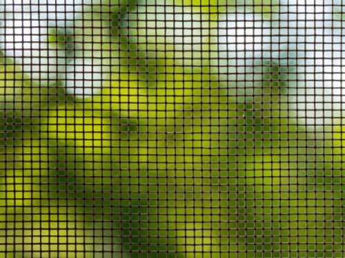Close-up look of the mesh on a security screen door of an Australian home.