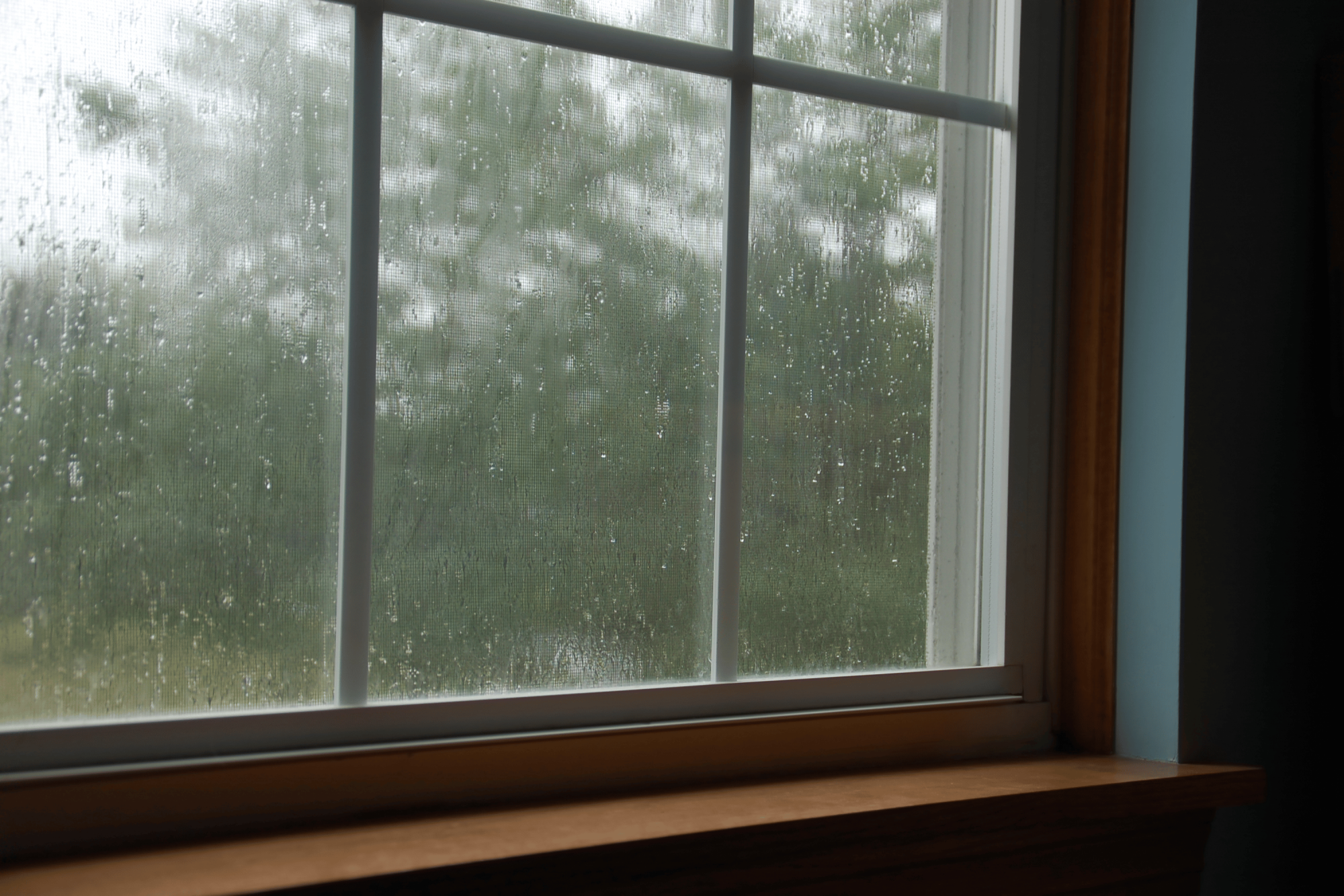 Humidity In Windows Moisture on Windows: Causes & Solutions | Perth Window Experts