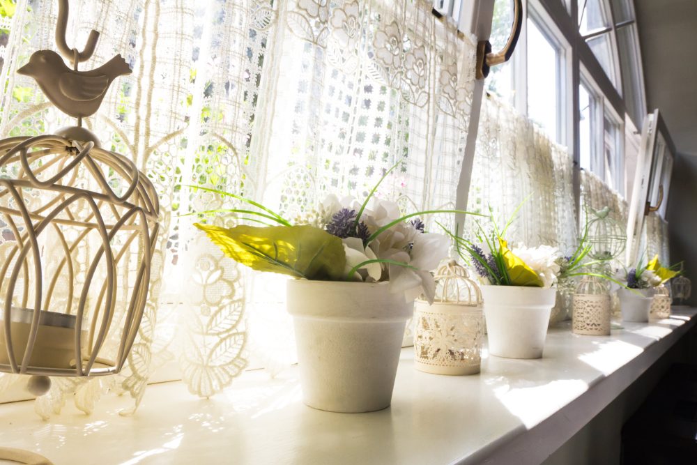 A range of pot plants sitting on a window sill
